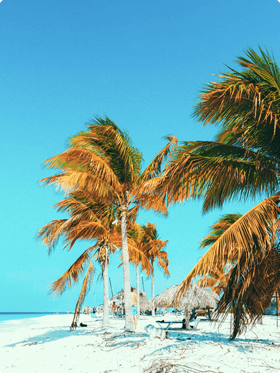 Playa Paraíso
